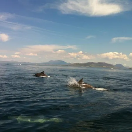 Hughs Ferienhaus Cleggan