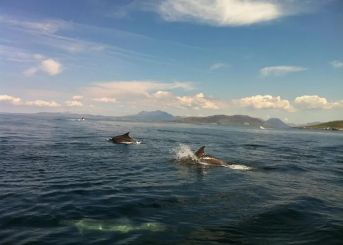 Hughs Ferienhaus Cleggan